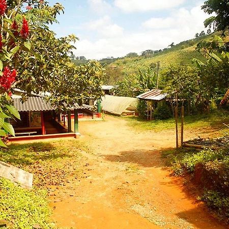 Caficultur -Alojamiento Rural Buenavista  Ngoại thất bức ảnh